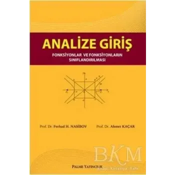 Analize Giriş
