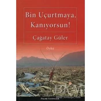 Bin Uçurtmaya, Kanıyorsun!