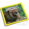 Afrikadaki Hayvanlar - Benim Hayvan Arkadaşlarım Dizisi 1