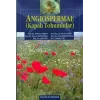 Angiospermae - Kapalı Tohumlular