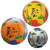 Can Sport Voleybol Top Bsv-444 700320 Tsts