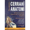 Cerrahi Anatomi 2