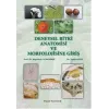Deneysel Bitki Anatomisi ve Morfolojisine Giriş