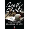 Güvercinler Arasında Bir Kedi