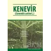 Kenevir