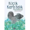 Küçük Kara Balık