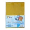 Lino Simli Karton 20*30 Cm 250 Gr 10lu Karışık Renk Rbp-301
