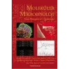 Moleküler Mikrobiyoloji