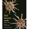 Nicel Kimyasal Analiz