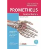 Prometheus Anatomi Atlası 1. Cilt