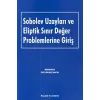 Sobolev Uzayları ve Eliptik Sınır Değer Problemlerine Giriş