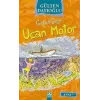 Uçan Motor