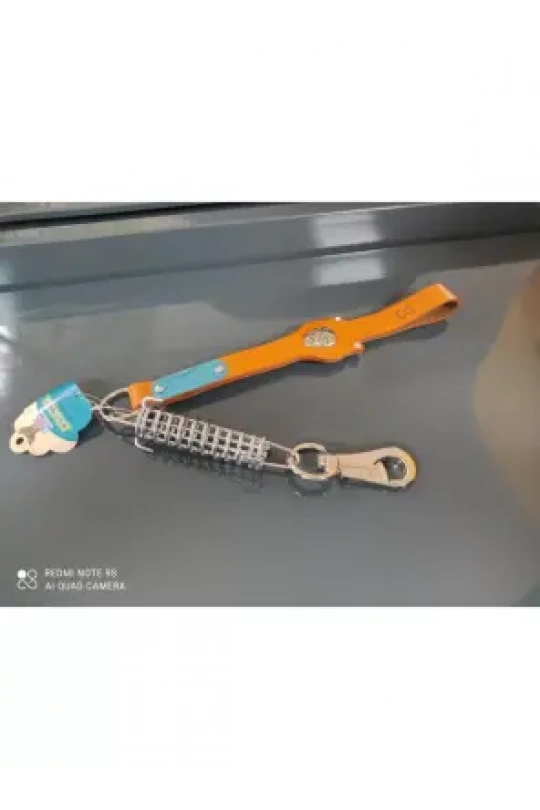 Ans 417 Yaylı Gezdirme