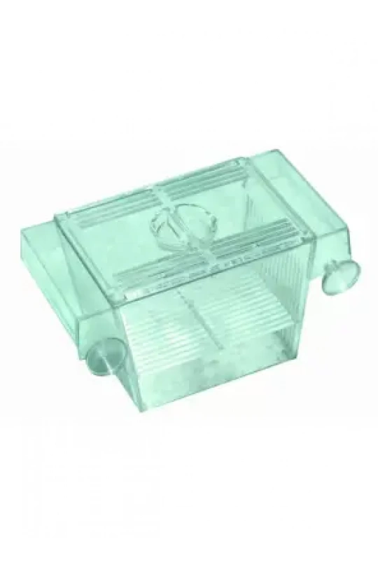 Aquawe Tekli Yavruluk