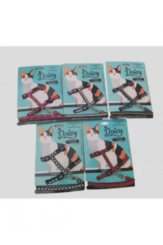 Daisy Kedi Takım Bel Tasması