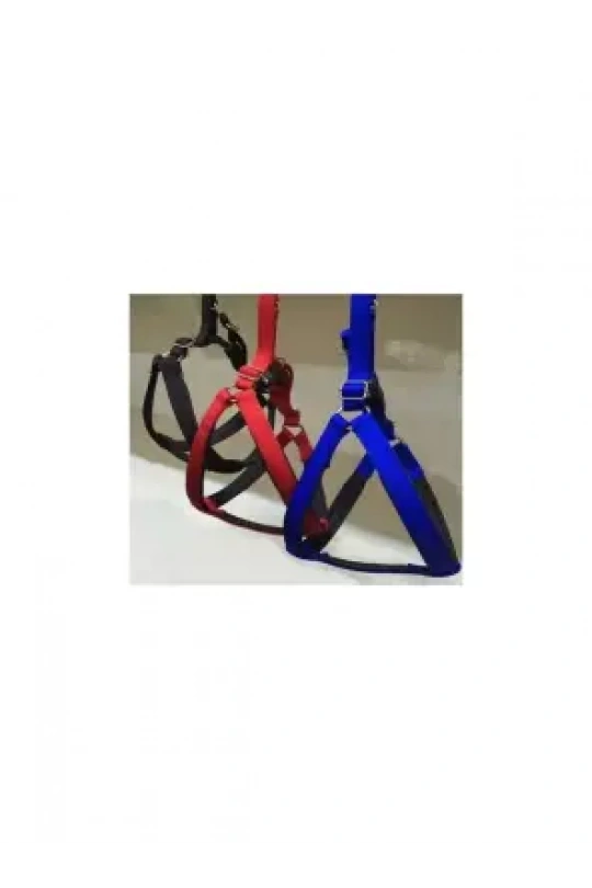 Daisy Köpek Yumuşak Doku Göğüstasması No:1