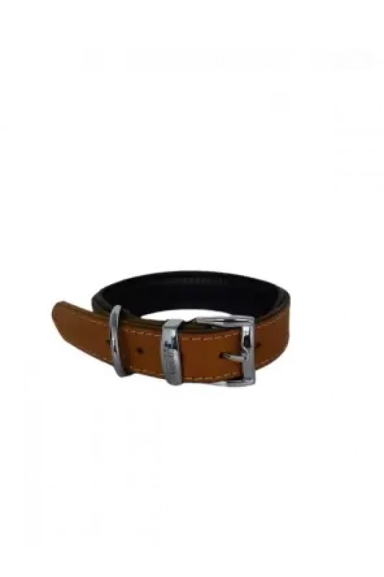 Daisy Yağlı Deri Köpek Tasması M-3cm Taba