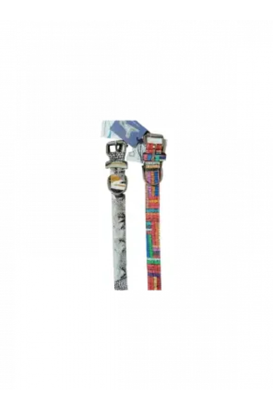 Desenli Köpek Boyun Tasması 3 Cm