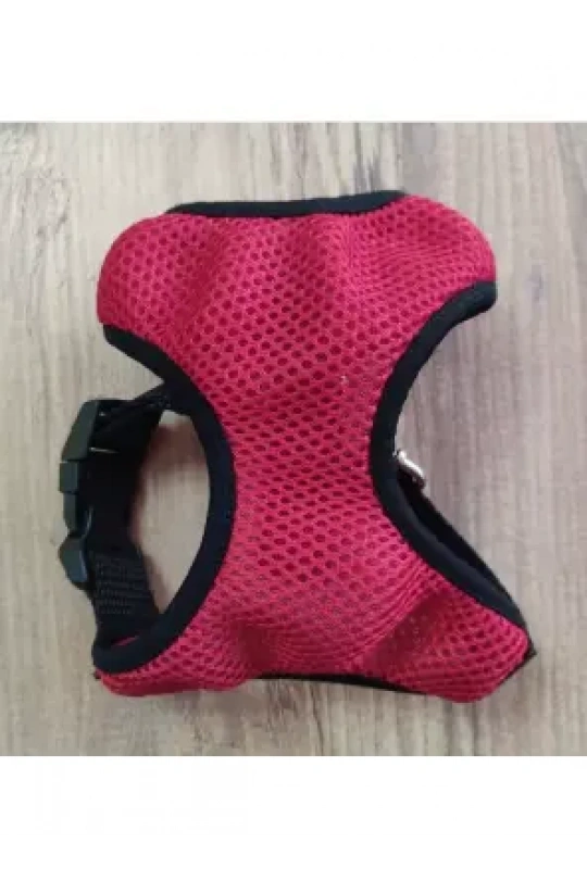 Elegance Göğüs Tasma Asorti