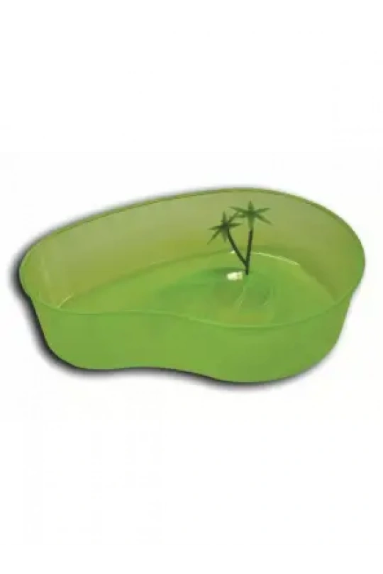 Kaplumbağa Bahçesi Küçük