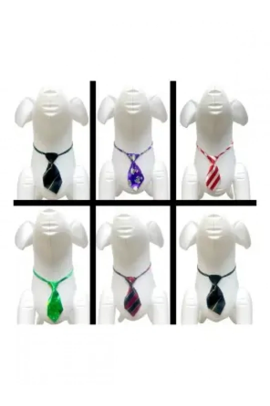 Maxi Life Kravatli Boyun Tasması