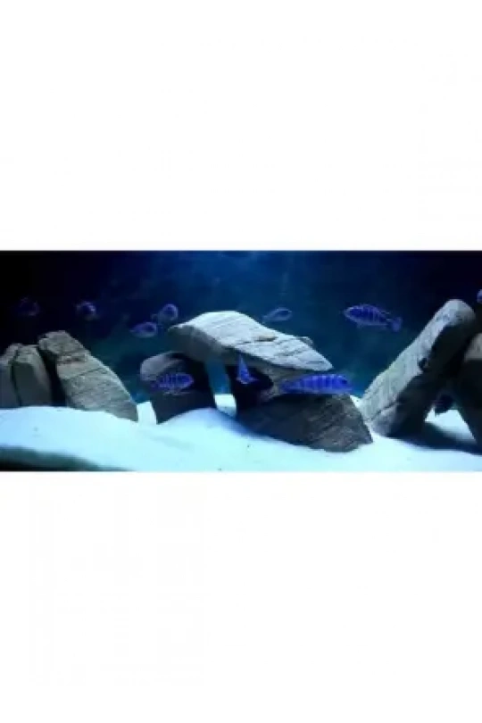 Reeflowers Akvaryum Kumu Beyaz 1 kg