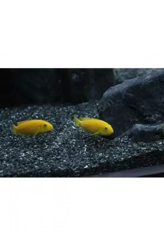 Reeflowers Akvaryum Kumu Siyah 1 kg