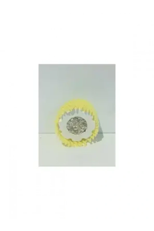 Selinus Dolgulu Gaga Taşı