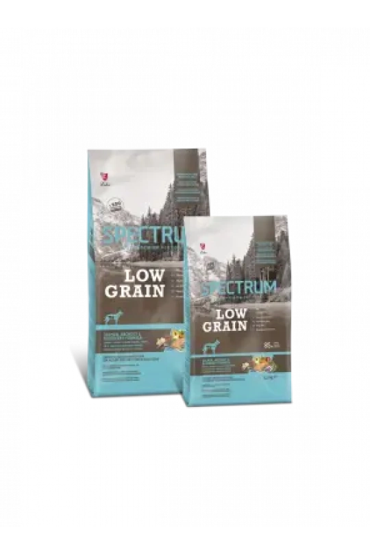 Spc Lg Salmon&Anchovy Medıum And Large Breed Adult Dogs 12 kg