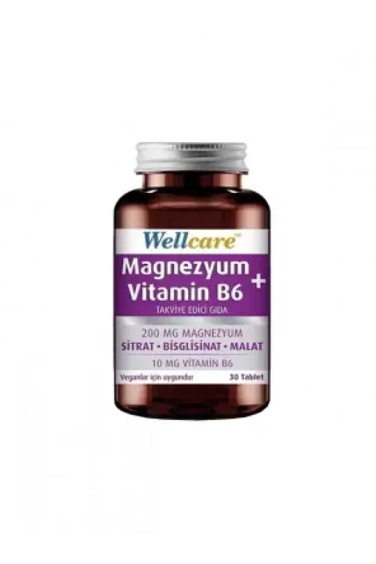 Wellcare Magnezyum B6 Vitamini 30 Tablet