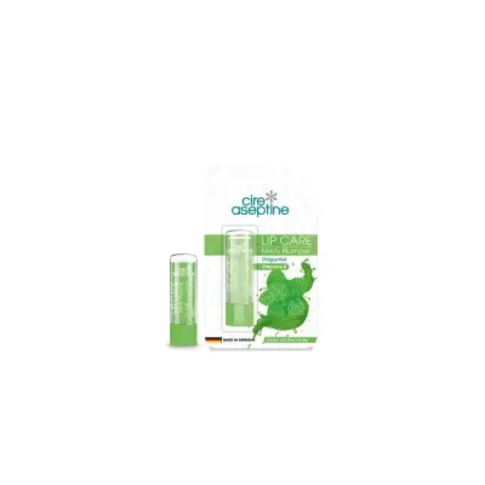 Cire Aseptine Nane Aromalı Dudak Bakım Kremi 4,5 gr