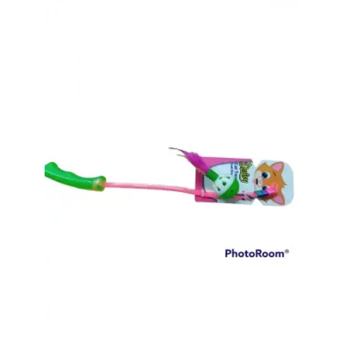 Daisy Cattoys Kedi Oltası