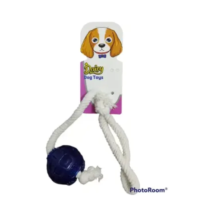 Daisy Dogtoys İpli Köpek Topu