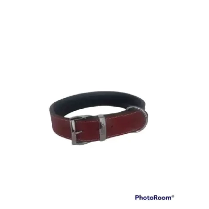 Daisy Klasik Deri Köpek Tasması XL-4cm Kırmızı