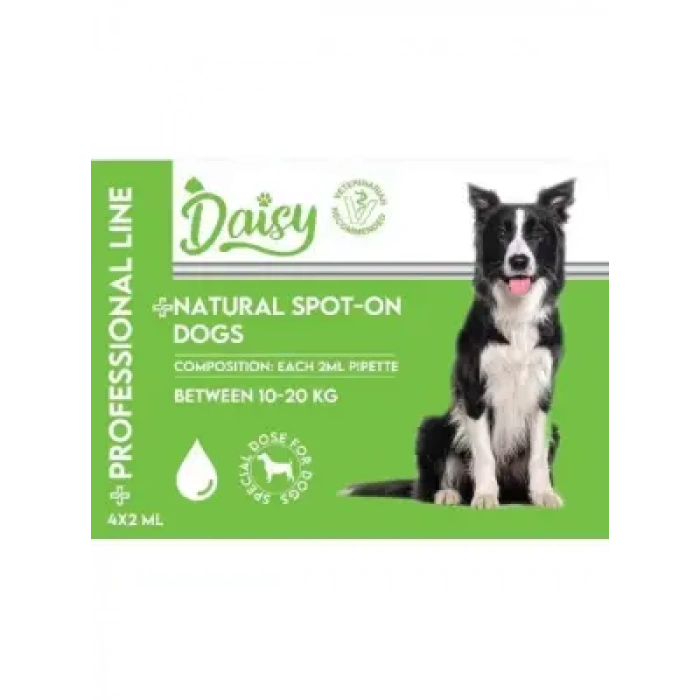 Daisy Köpek Ense Damlası (10-20 kg) 4*2 ml