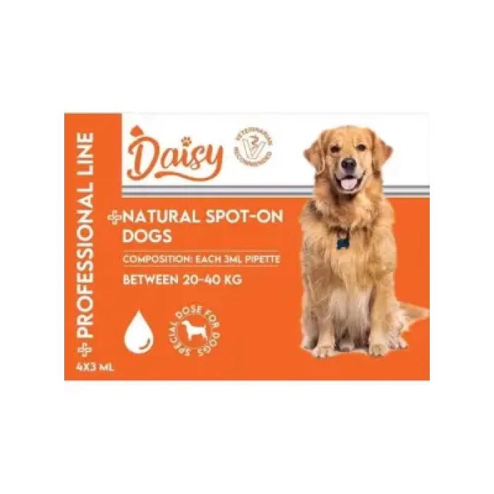 Daisy Köpek Ense Damlası (20-40 kg) 4*3 ml