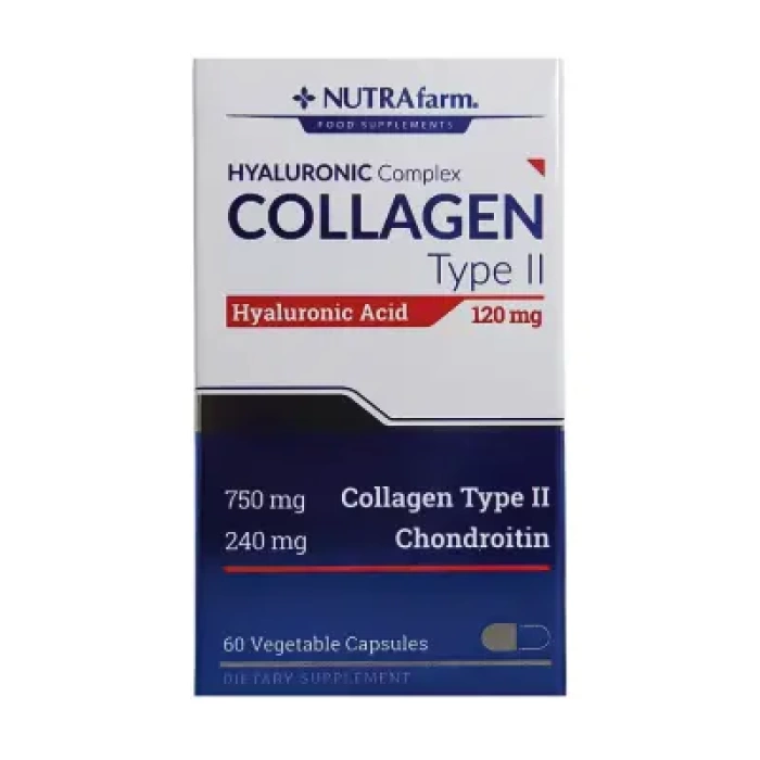 Dermoskin NutraFarm Collagen Hyaluronic Acid Tip2 120mg 60 Kapsül