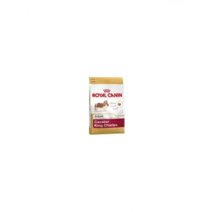 Royal Canin Bhn Cavalier Ad 3K