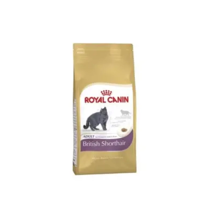 Royal Canin Fbn Brit Shorthair 4K