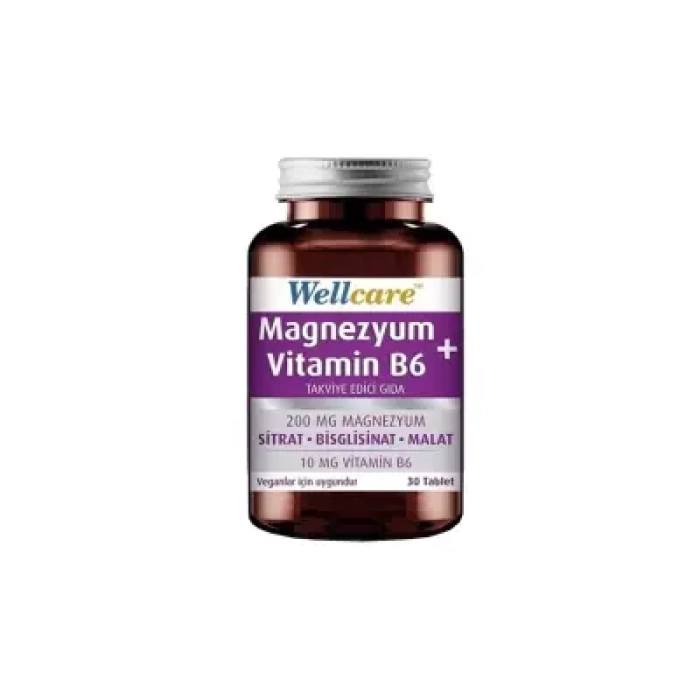 Wellcare Magnezyum B6 Vitamini 30 Tablet