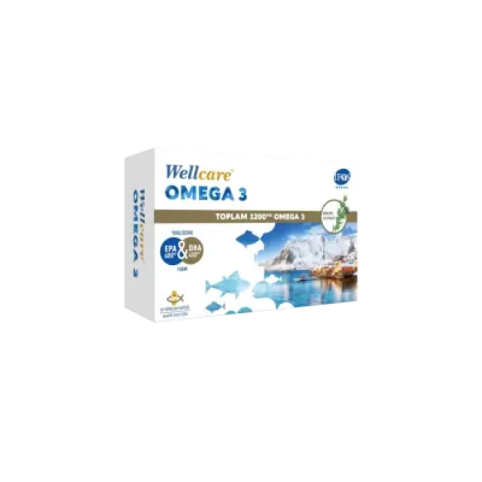 Wellcare Omega 3 1200mg Balık Yağı 30 Kapsül