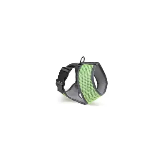 Zampa Finix Köpek Gövde Tasması Yeşil Xsmall 22x28-41 Cm