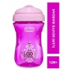 Chicco Easy İleri Seviye Bardak Kız-12m+