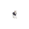 Gf Pet Köpek Kedi Kıyafet Reversible Raincoa Small