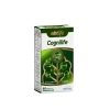 Nbt Life Cognilife 60 Kapsül