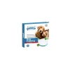 Pawise Spinning Dog Training Ve İnteraktif Oyuncak
