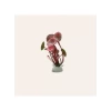 Plastik Akvaryum Bitkisi 12cm
