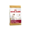 Royal Canin Bhn Cavalier Jun 1,5K