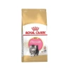 Royal Canin Fbn Persian Kit 2K