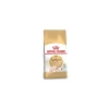 Royal Canin Fbn Sphynx 2K